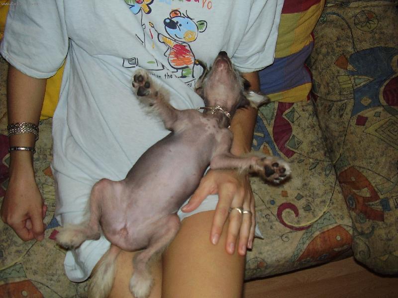 Foto: Fanny-Nejl�pe se sp� u televize