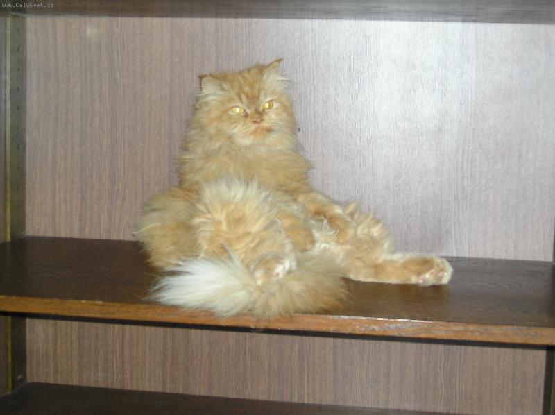 Foto: �aneta-je �as p�ij�mat audience