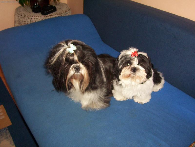 Foto: Mazl�ci-Maznunkov� vykoupan�