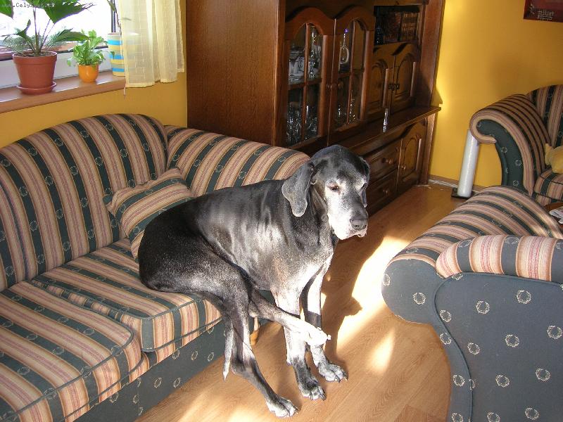 Foto: je�t� mi puste pros�m televizi