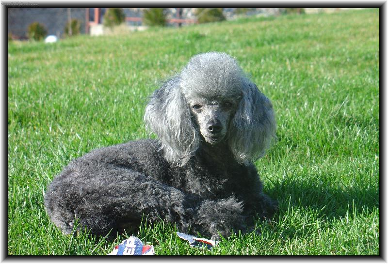 Foto: na�e desetilet� Ailinka-odpo�inek v tr�v�