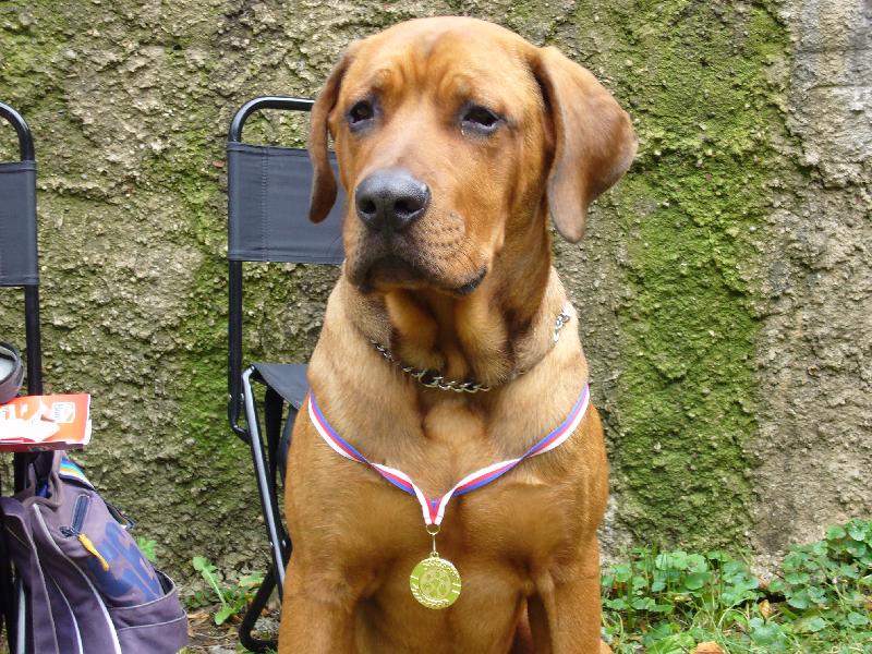 Foto: Cayroschi Diamant severu