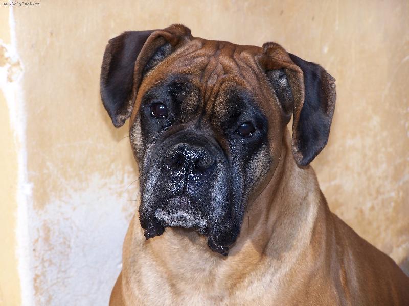 Foto: S�rinka-Tohle je n� mil��ek S�rina