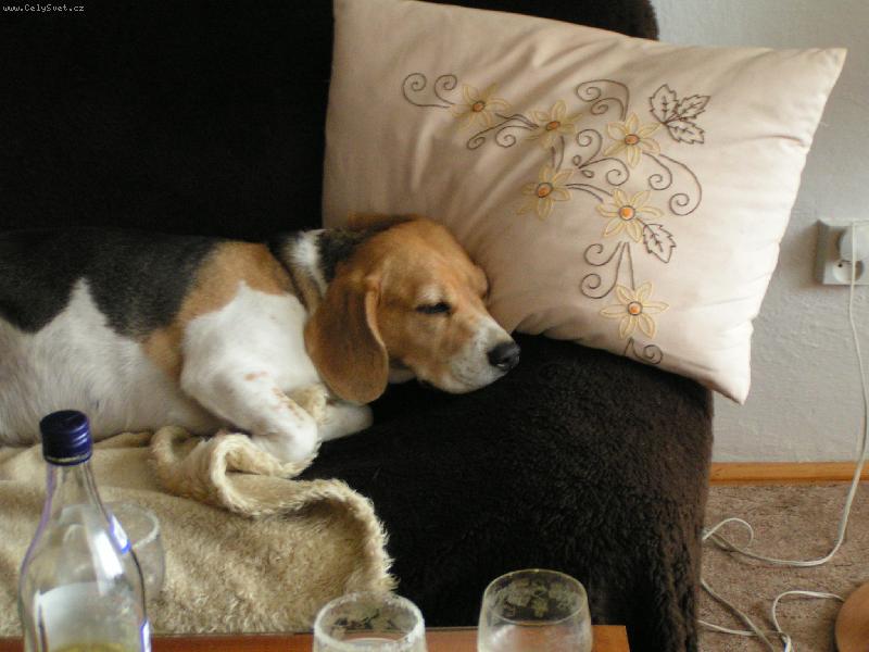 Foto: Odpo�inek-Zaslou�en� odpo�inek na�� �gnes =)