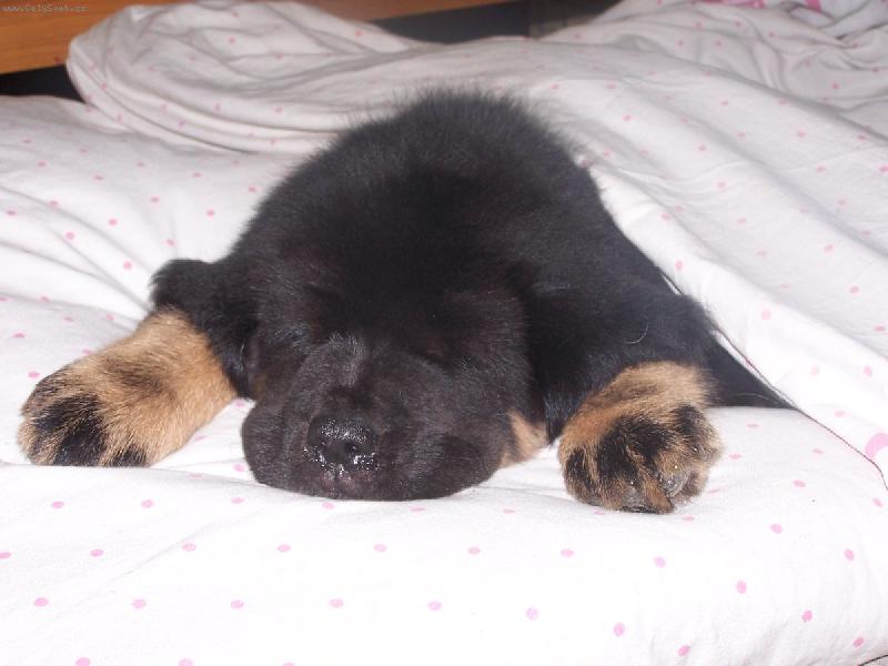 Foto: Pup�nek-to je pohoda