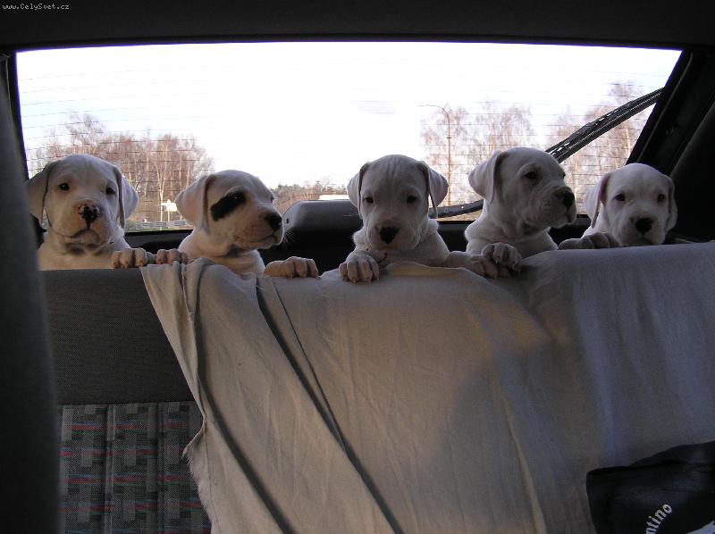 Foto: vrh D Blansk� les v aut�