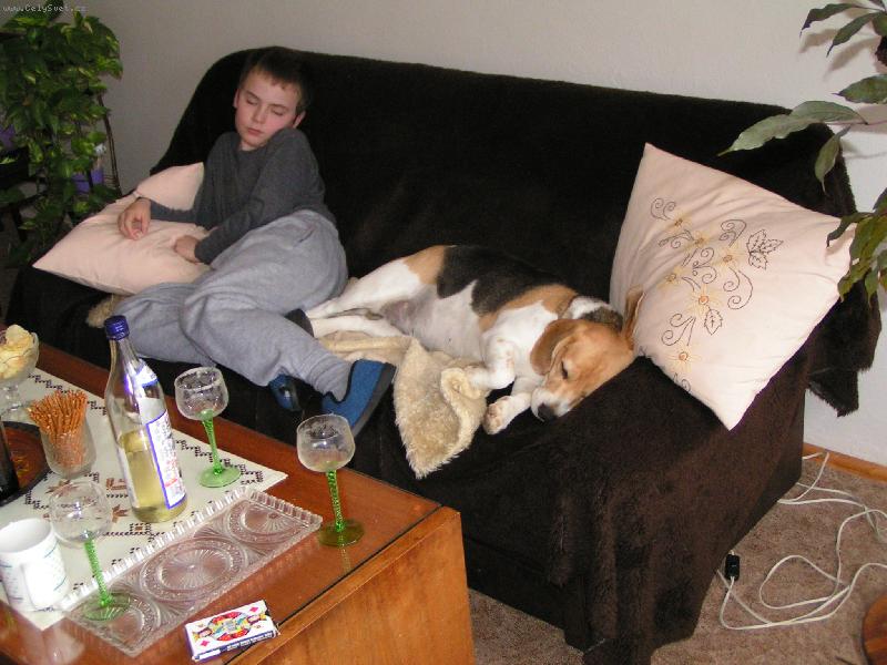 Foto: :D-Jak� to podoba