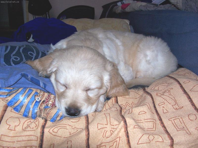 Foto: meginka jako mimino