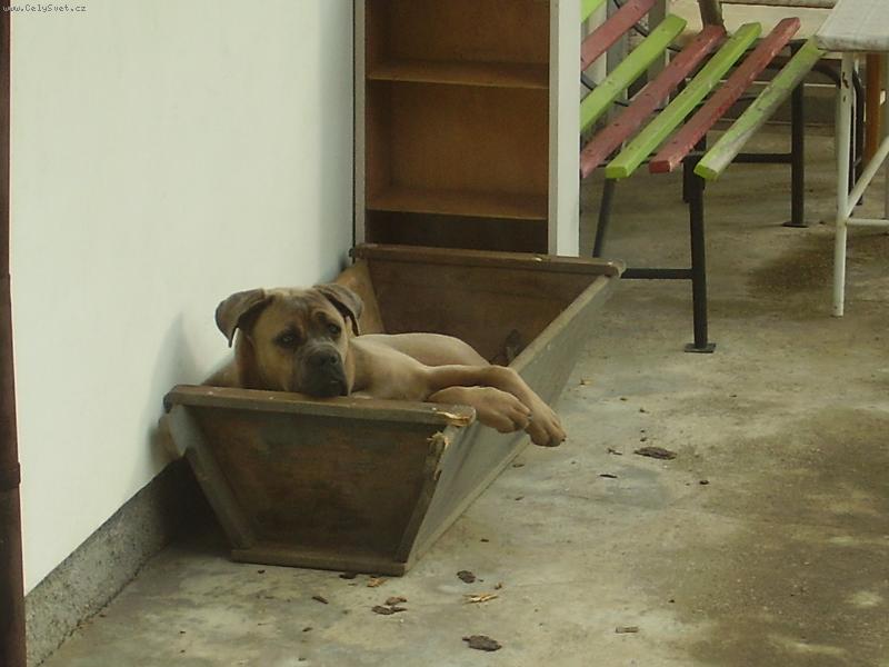 Foto: co m� bud�te?