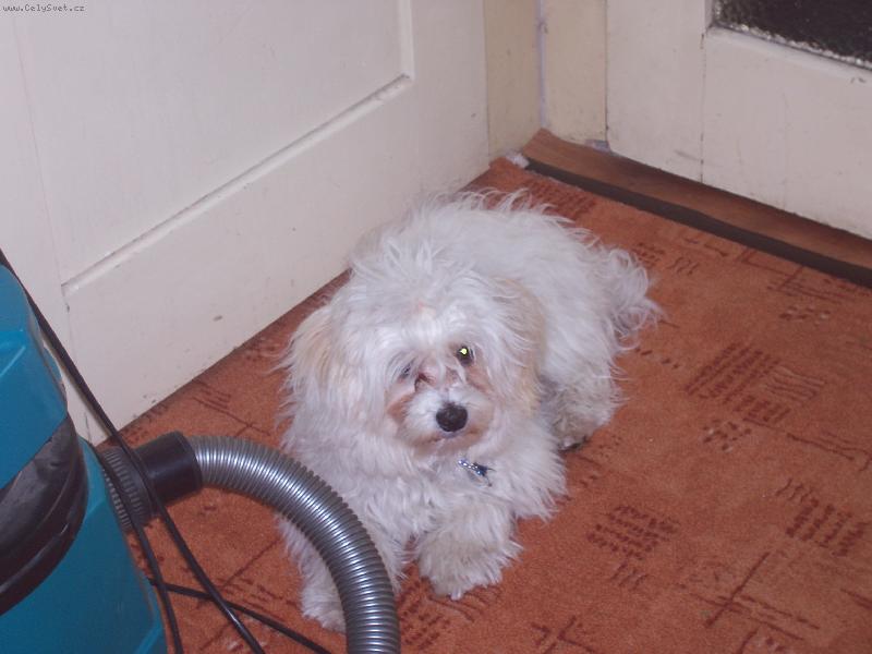 Foto: mus�m hl�dat