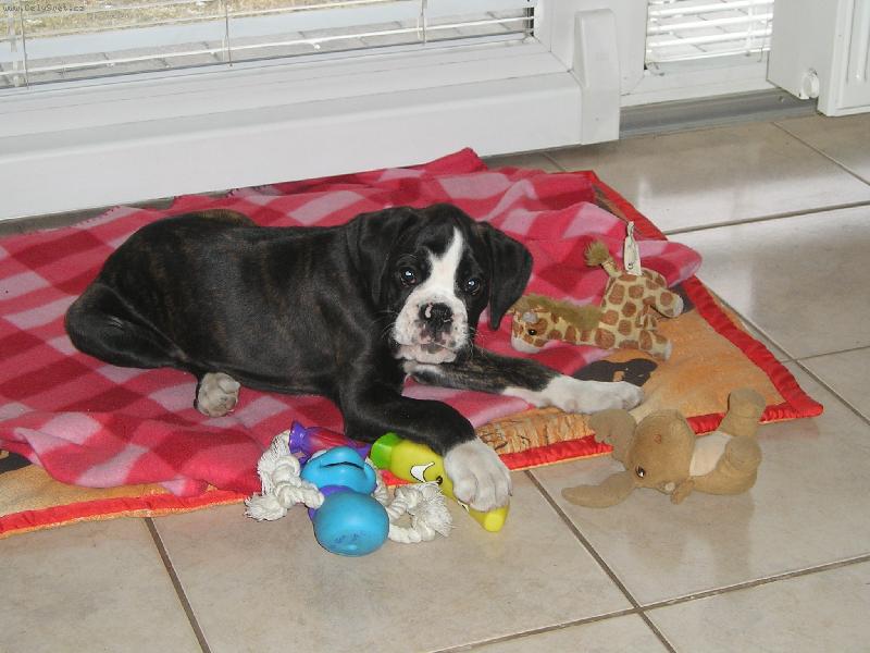 Foto: �t�n�tko