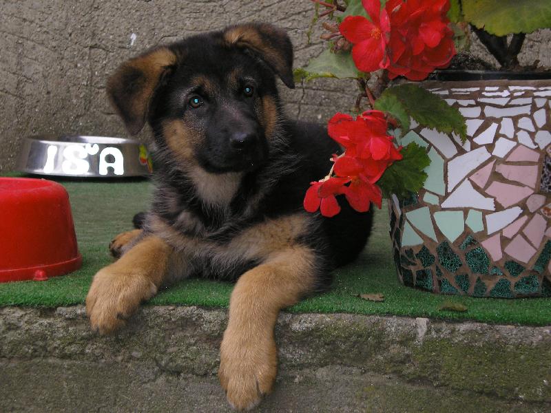 Foto: Ira-milovnice kv�tin