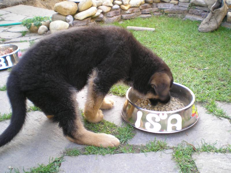 Foto: I�inka-u� m�m t�i m�s�ce a m�m st�le hlad