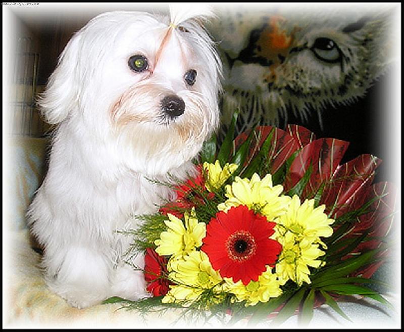 Foto: LULDA-�ULDA PLEASURE OF FRIENDSHIP