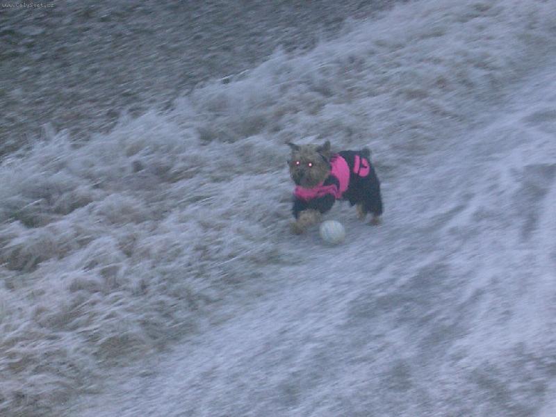 Foto: v zimn�m oble�ku b�i za balonkem