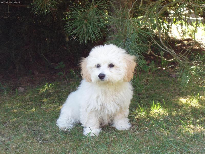 Foto: Pegy-Tak hezky kouk�