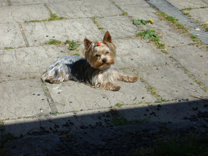 Foto: MIA z D���na