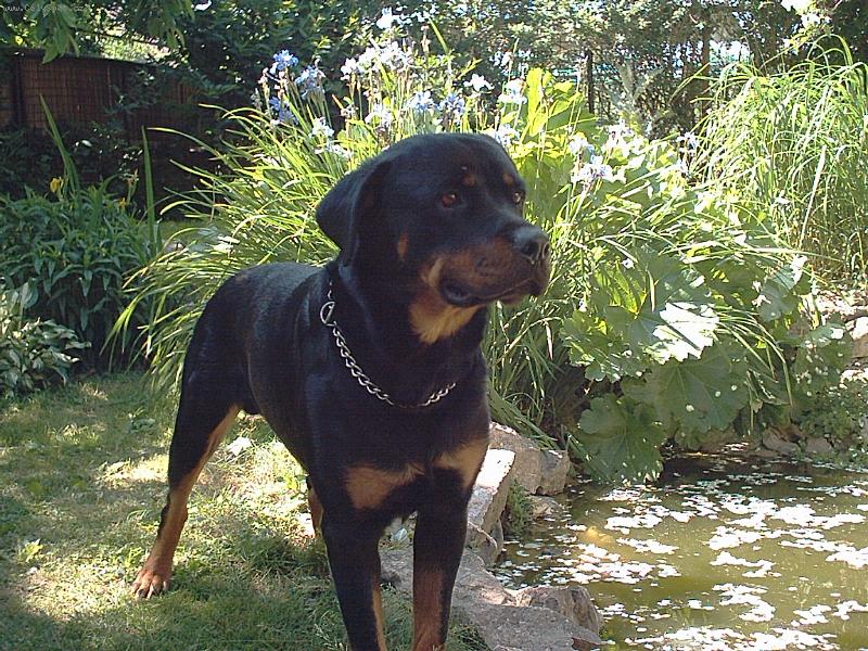 Foto: Jim-fotomodel:-)