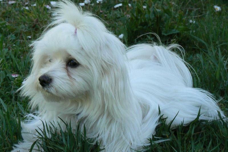 Foto: KIMIK-chvilka odpo�inku