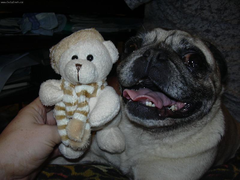 Foto: Tak co-kdopak je tu nejkr�sn�j��?