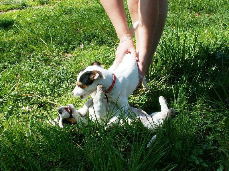 Foto: Agnes s n�hodn�m k�mo�em-Prvn� sem si hr�la se skoro stejn�m pejskem, byl to tedy Jack, ale byl super