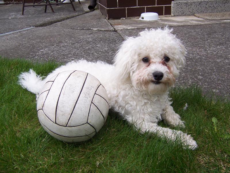 Foto: Fotbalista-Fotbalista