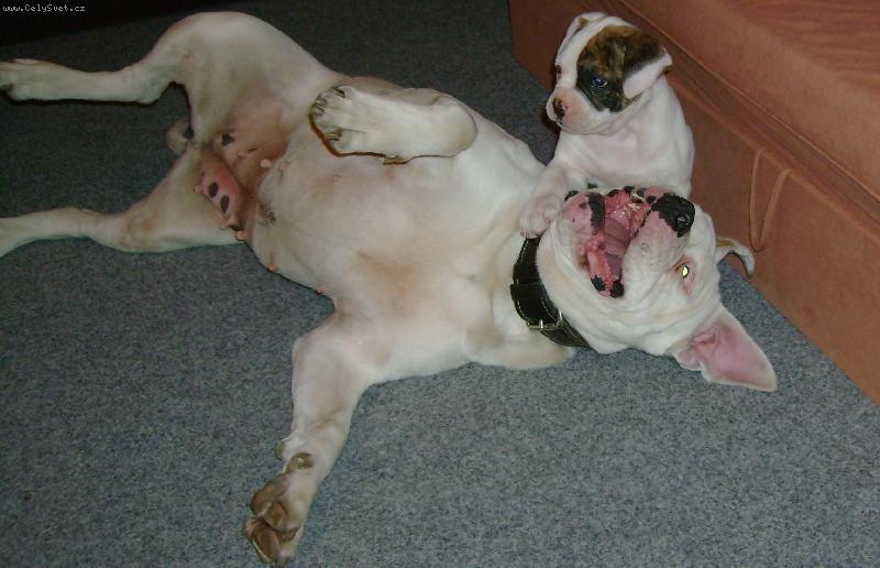 Foto: m�m ji na lopatk�ch-Brad a Fanny p�i h�e