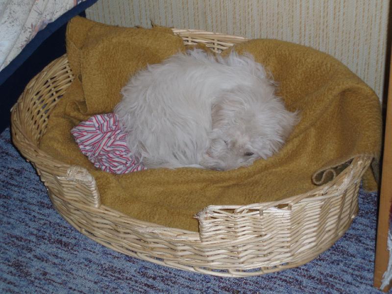 Foto: RAMB��EK-Tak to je n� majink� �ikovn� 5ti m�s��n� Ramb��ek;)