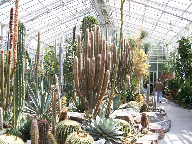 Foto: Mnichov-Botanick� zahrada - Nymphenburg