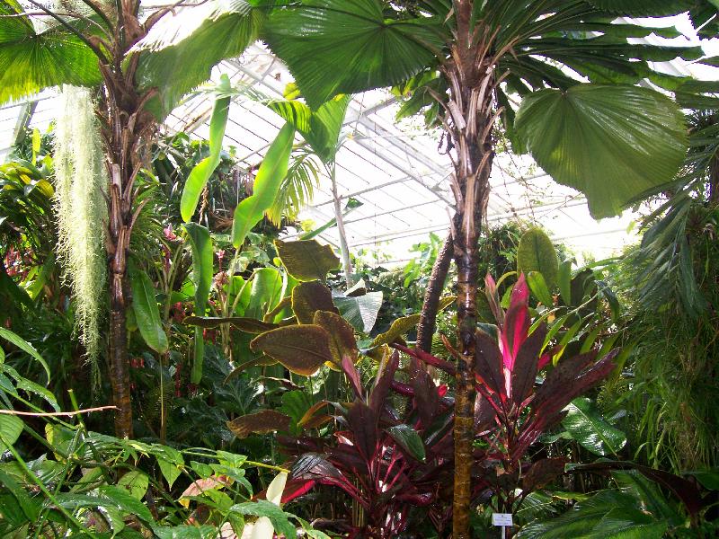 Foto: Mnichov-Botanick� zahrada - Nymphenburg