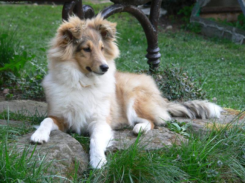 Foto: French ze Skaln� vyhl�dky