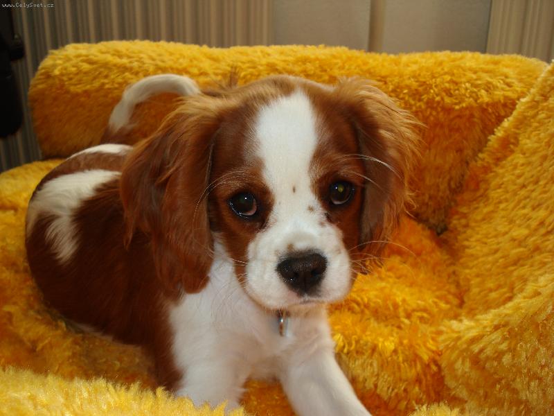 Foto: Lilinka-..p�jdeme po focen� u� kone�n� ven..?