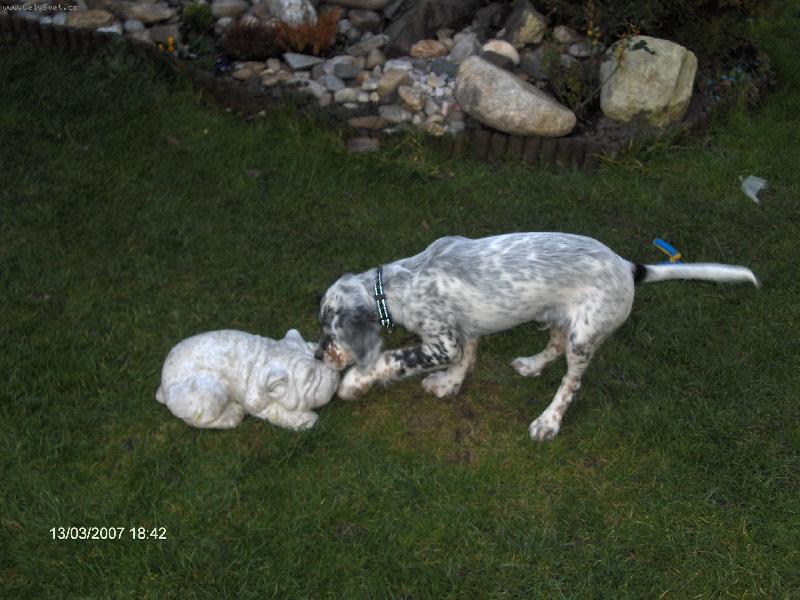 Foto: mil��ek-to je moje teritorium
