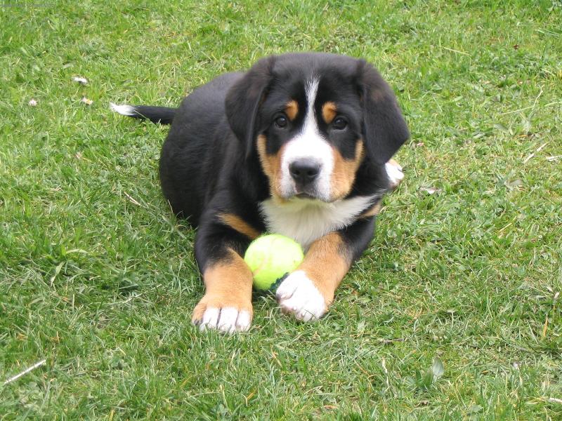 Foto: Kdo m� to fot� ?