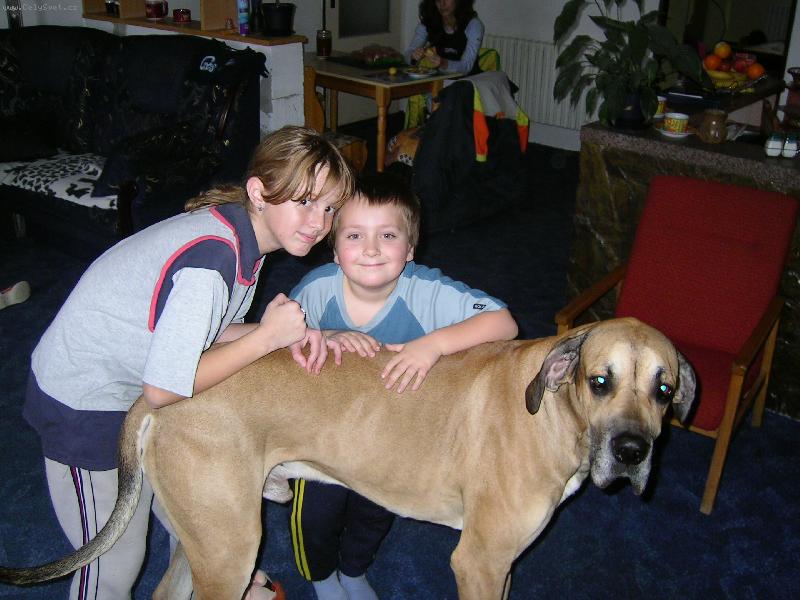Foto: maxik s rodinou-dcera,synovec a muj nejlep�� kamar�d max�k