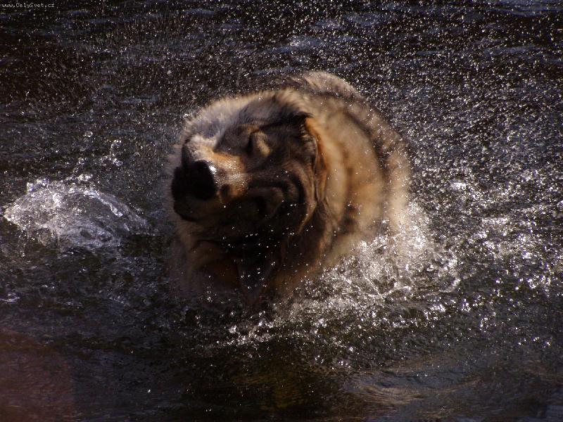 Foto: Baron z Hvozdeck� kotliny-jarn� osv�en�