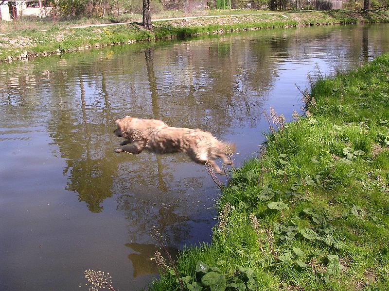 Foto: Kesinka-Skokan =D