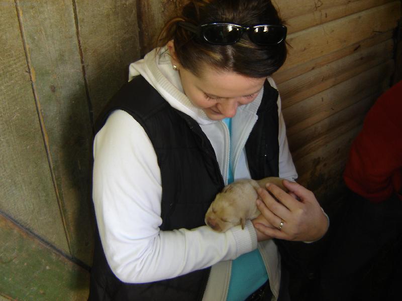 Foto: Brody-U sestry v n�ru�� - 7 dn�