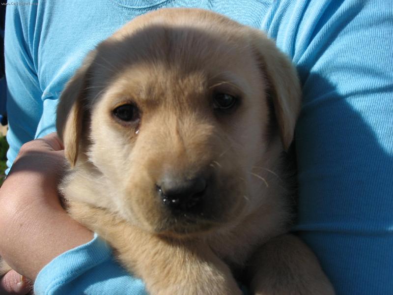 Foto: Brody-Brody u� trochu v�t��:)