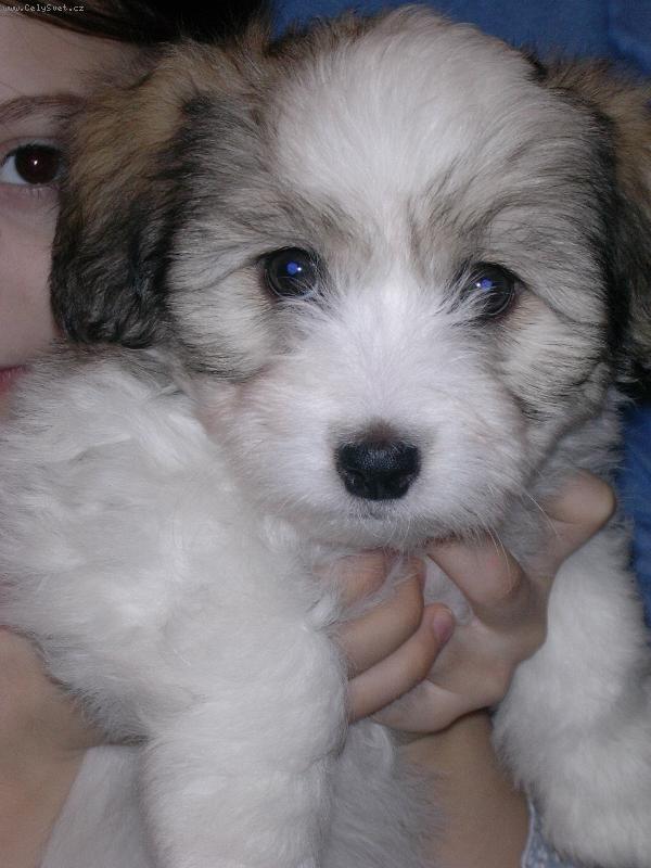 Foto: Betynka-n� 2m�s��n� poklad