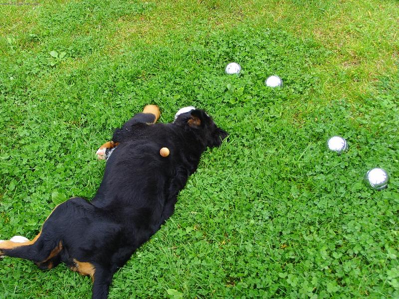Foto: Kdo si hraje, nezlob� - petanque 1