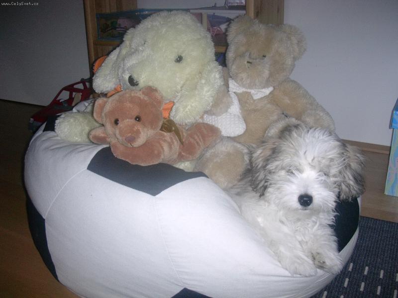 Foto: Betynka-ply��ci