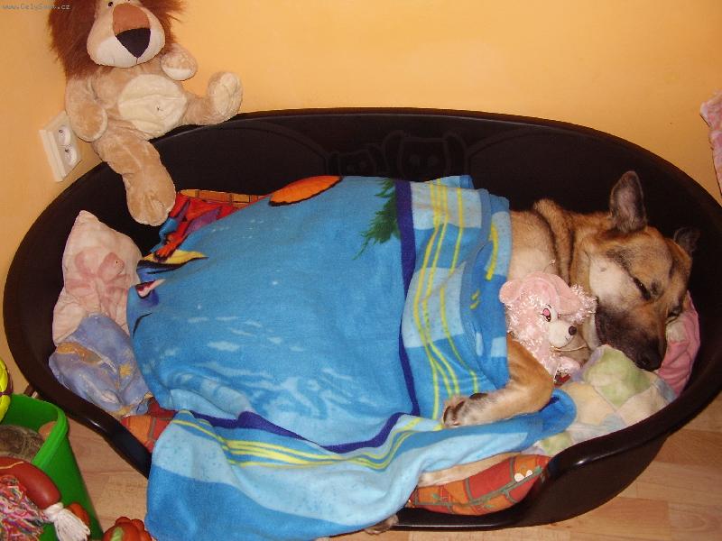 Foto: Nelly-To je m�j pel�ek