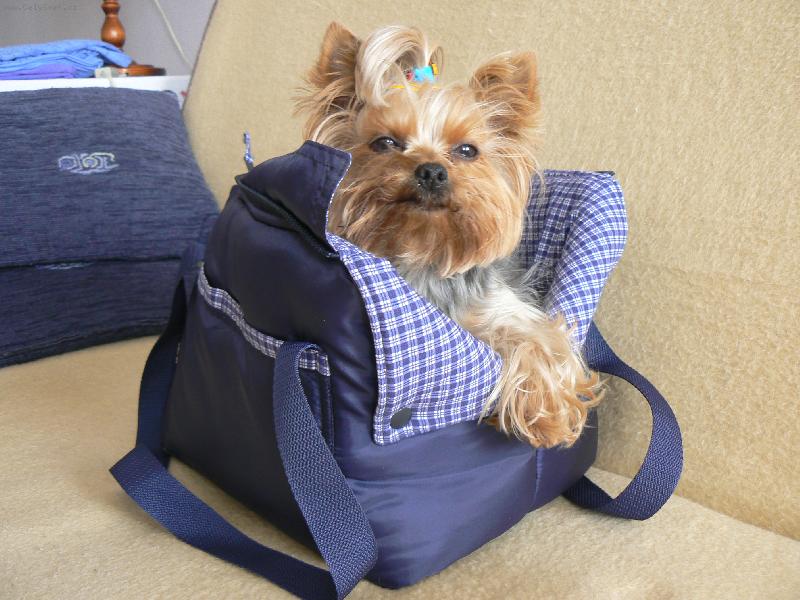 Foto: Ta�ka ma pejsky-PAni�ka �ila ta�ku pro jednu jork��rku,tak jsem j� testovala...