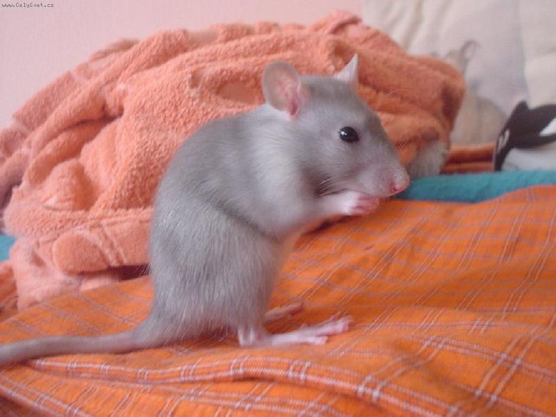 Foto: Aranka-Sv��a