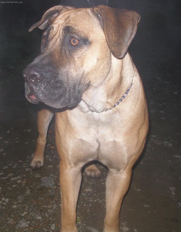 Foto: Cheynnee-Tak tady na�e mal� kouk� na lump��ka :D