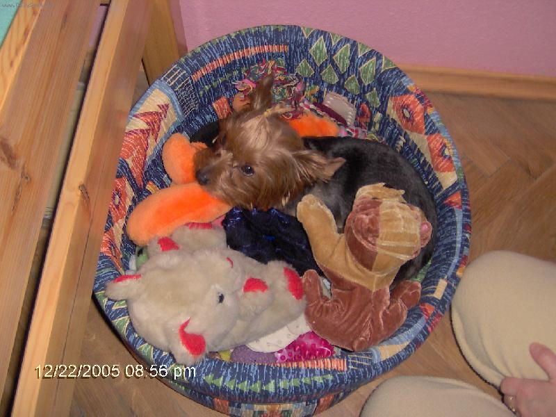 Foto: M�j pel�ek