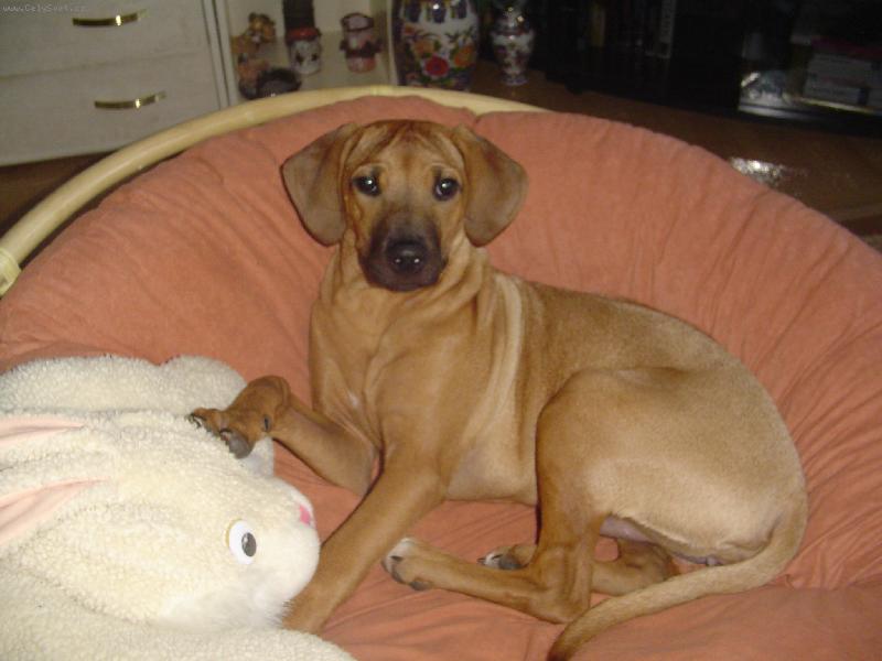 Foto: Tyna 5 M-To je me kralovstvi