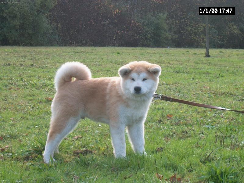 Foto: P�Taishi-Kam m� t�hne�? J� ��r�m !