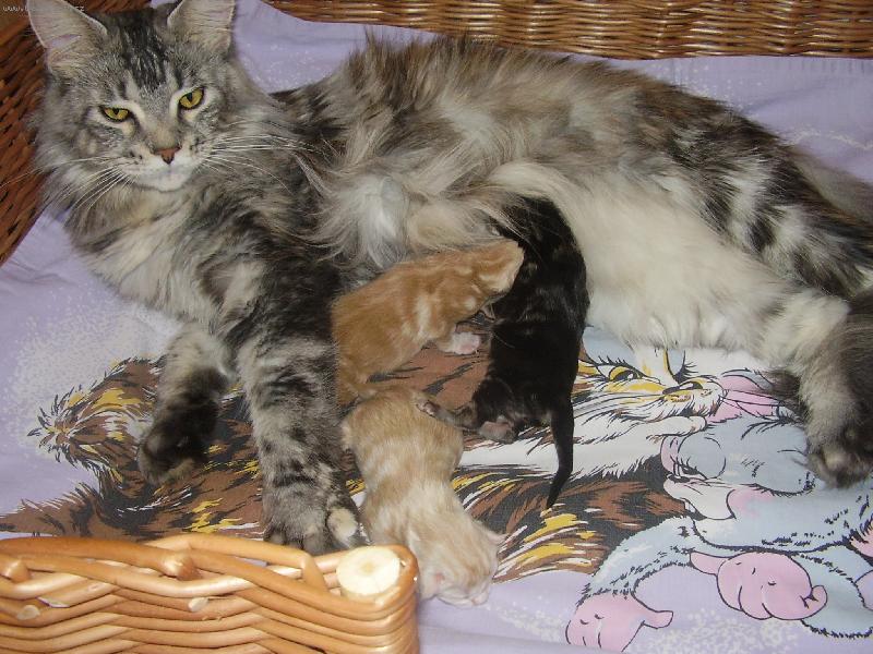 Foto: Na�e sme�ka-Spokojen� maminka i miminka